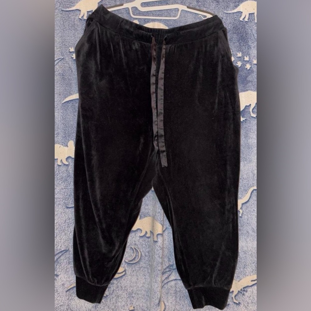 Torrid Velour Joggers Size 2